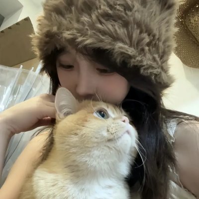 纽约客的故事