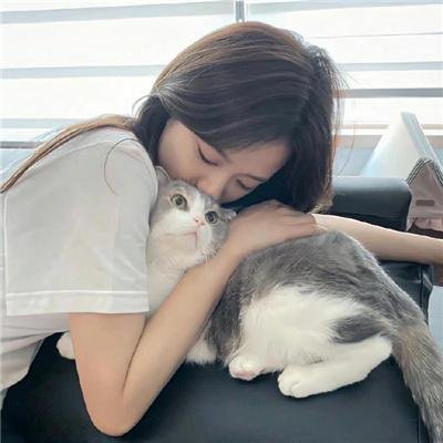 四海鲸骑第二季